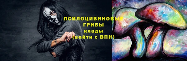 гашик Медвежьегорск
