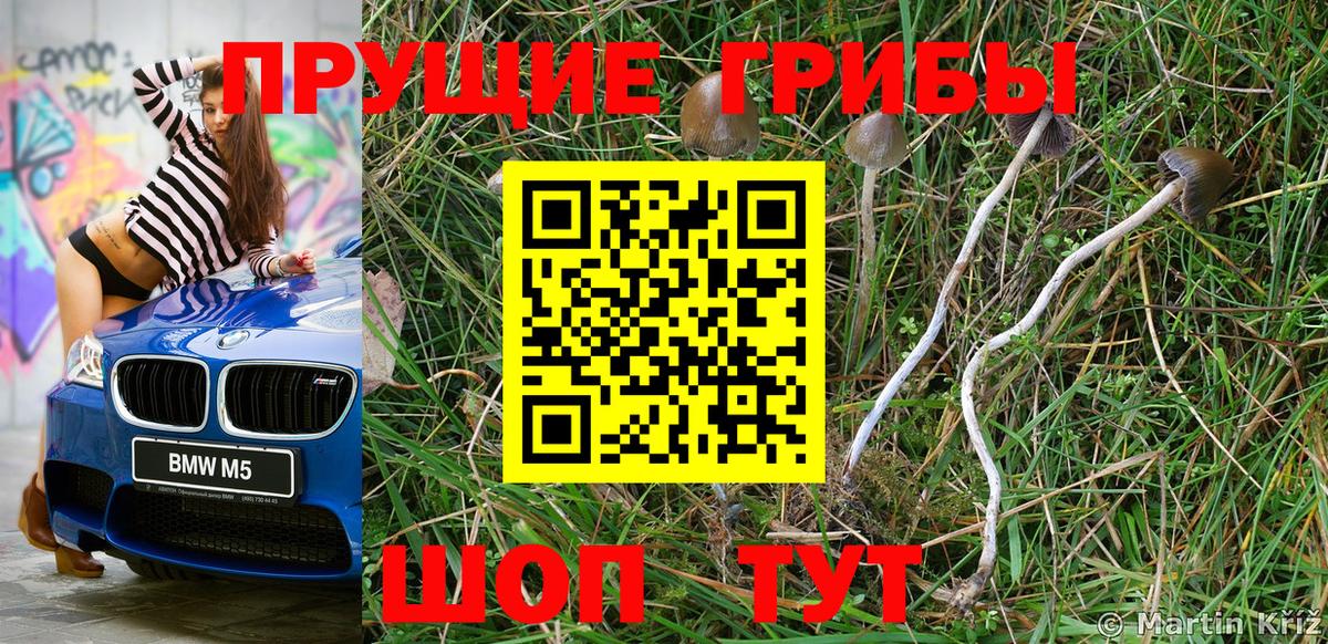 Псилоцибиновые грибы GOLDEN TEACHER Липецк